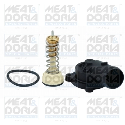 Thermostat, coolant